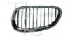 BMW 51137065702 Radiator Grille